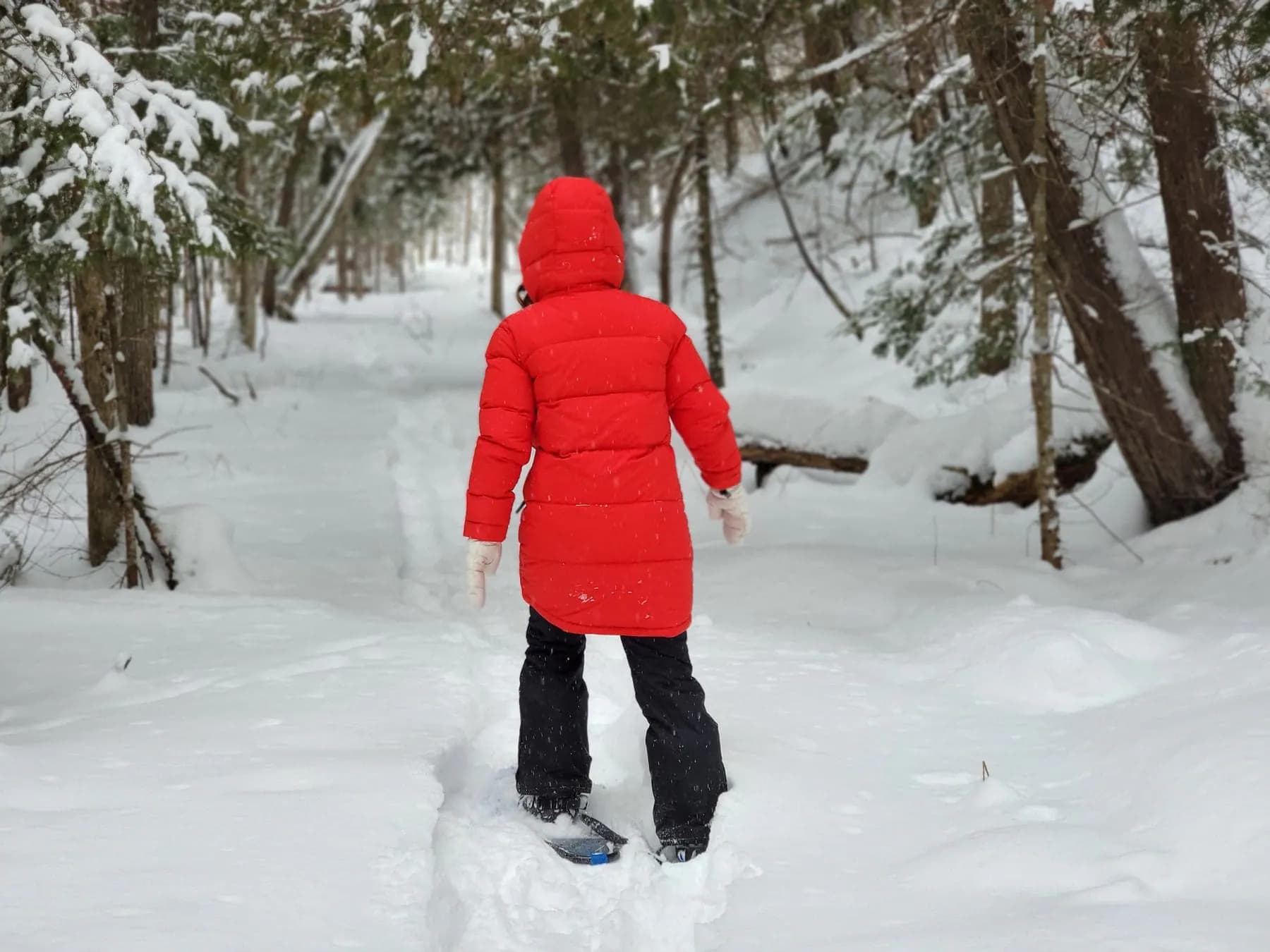 Snowshoeing through an Adirondack winter wonderland