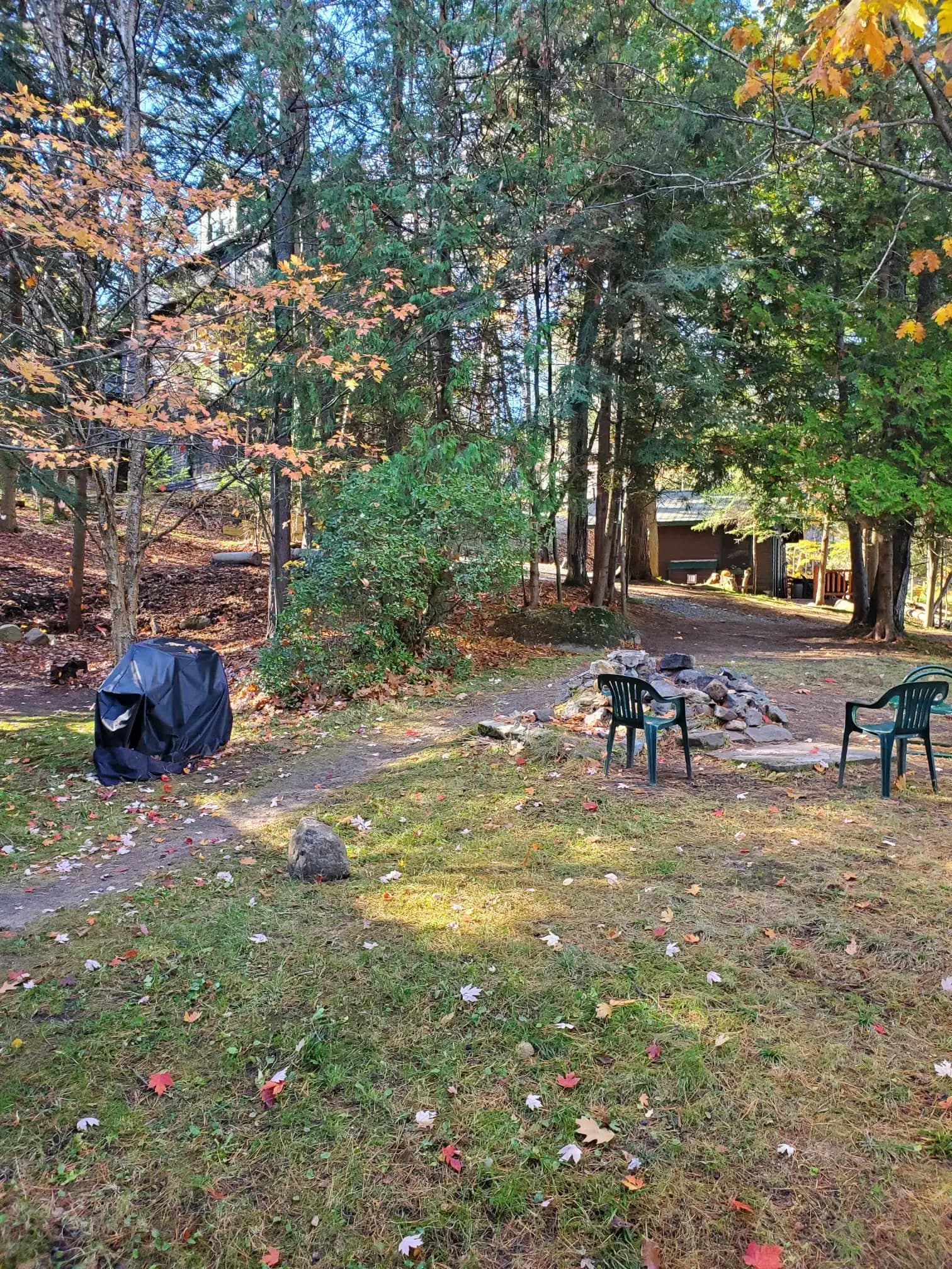 Fall at Colden Lodge