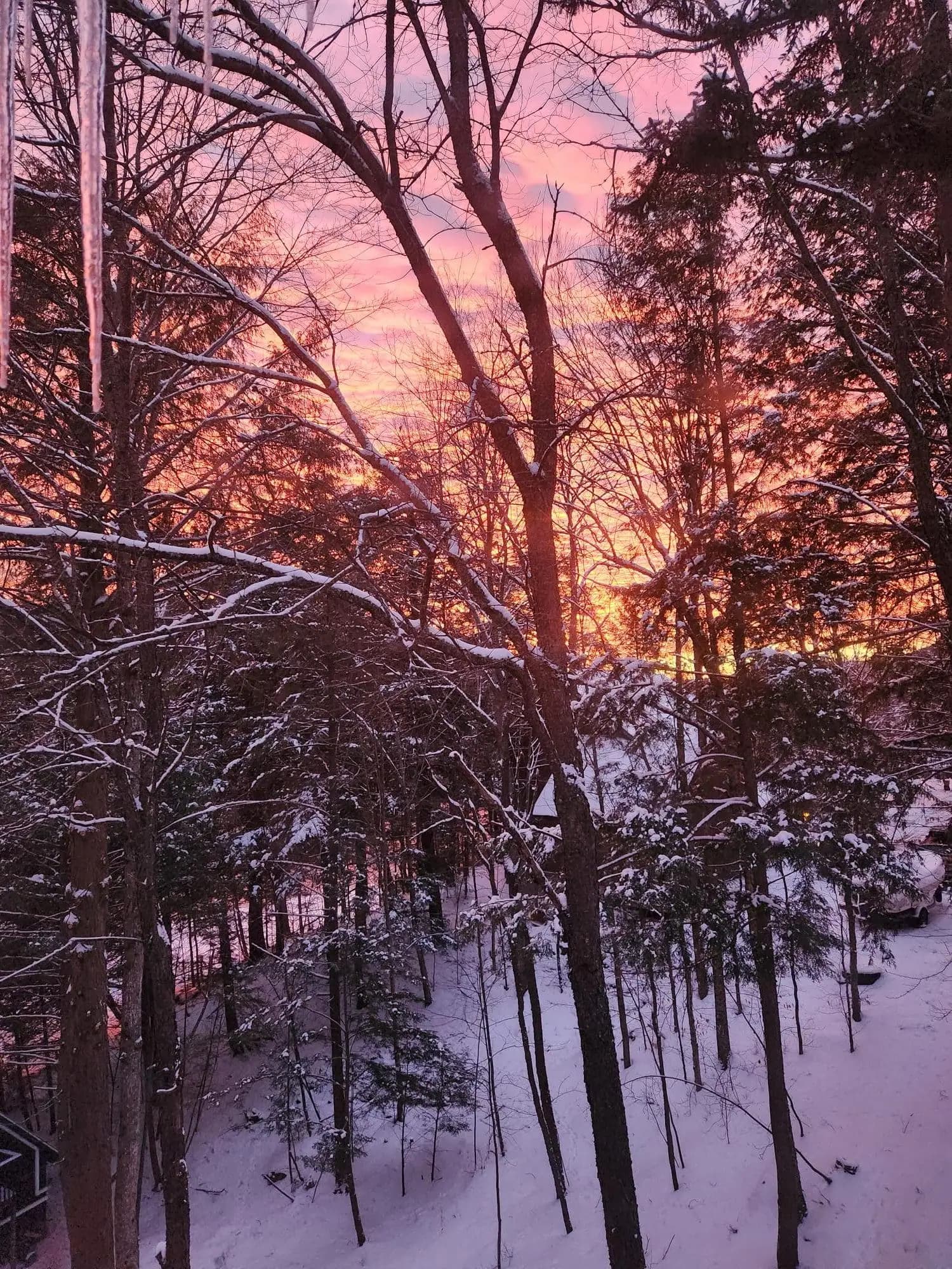 Winter mornings at Colden Lodge
