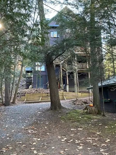 The approach to Colden Lodge