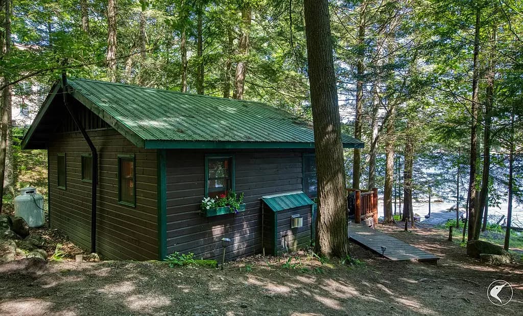 Cabin among the trees near Lake Flower